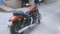 Amber Whiskey Harley Davidson Iron 883