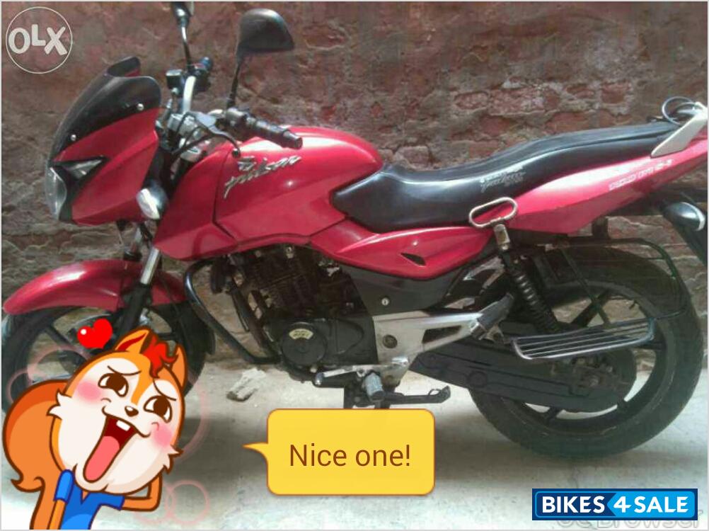 Wine Bajaj Pulsar 150 DTSi