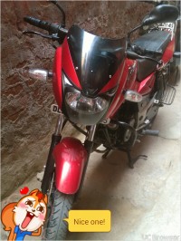 Wine Bajaj Pulsar 150 DTSi