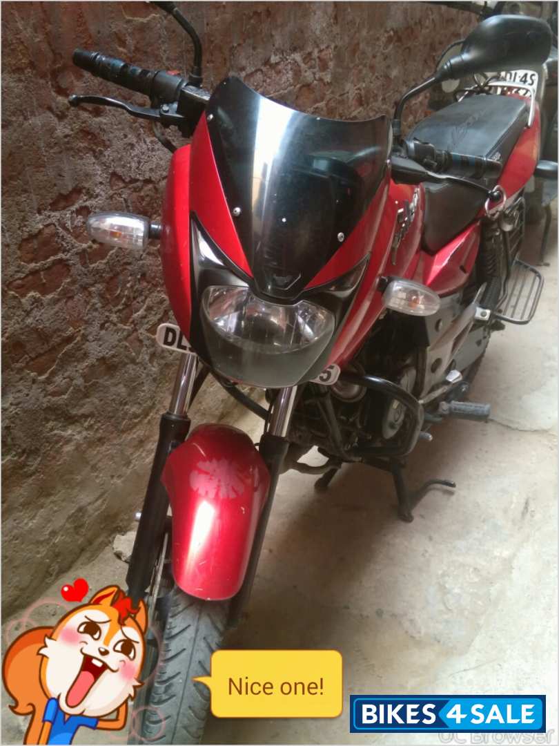 Wine Bajaj Pulsar 150 DTSi