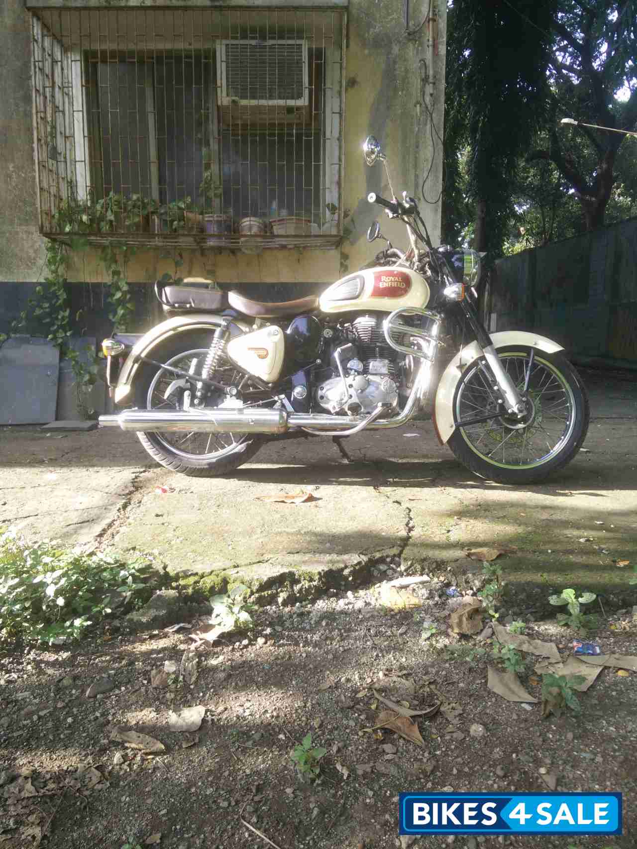 Tan Maroon Royal Enfield Classic 500