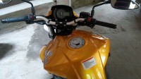 Gold Benelli TNT 600 i