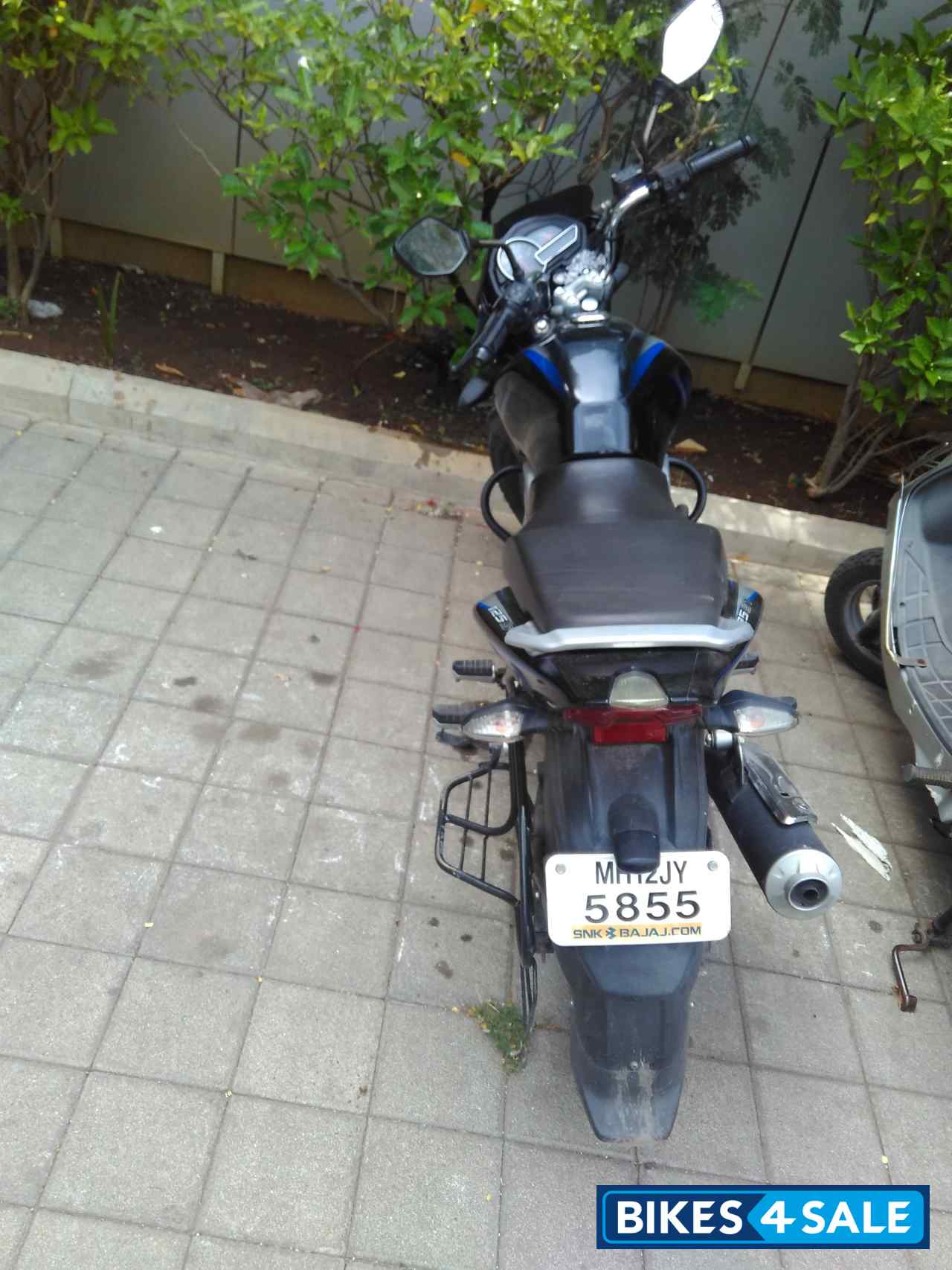 Balck Blue Bajaj Discover 125 ST