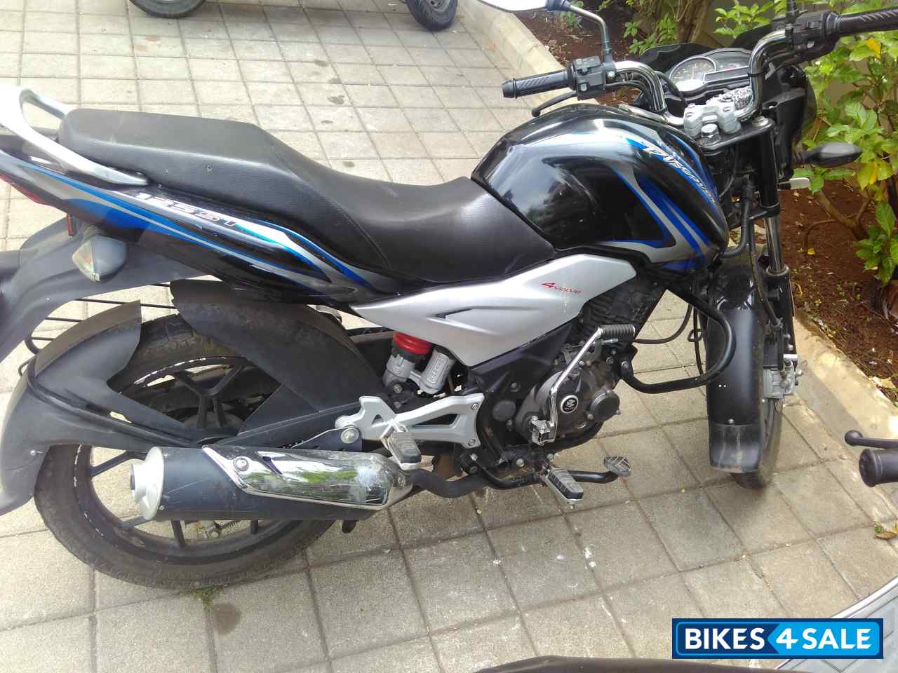 Balck Blue Bajaj Discover 125 ST Balck Blue Bajaj Discover 125 ST