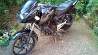 Black Bajaj Pulsar 150 DTSi