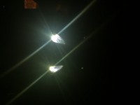 Black Bajaj Pulsar 220 DTSFi