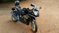 Black And Gold Yamaha YZF R15 V2