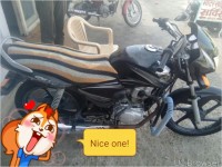 Honda Shine 2008 Model