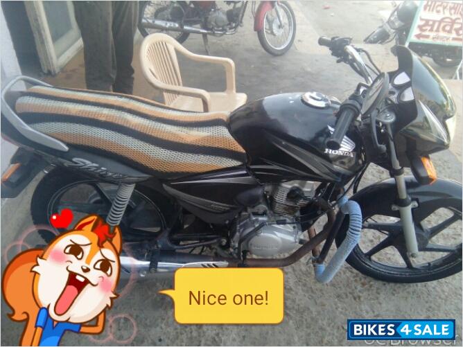 Black With Silver Honda Shine