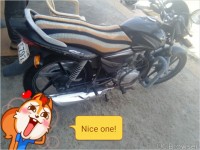 Black With Silver Honda Shine