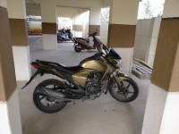 Gold Honda Unicorn Dazzler