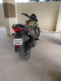 Gold Honda Unicorn Dazzler