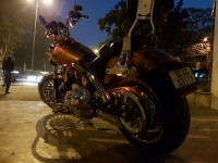 Amber Whisky Harley Davidson Dyna FXDB Street Bob