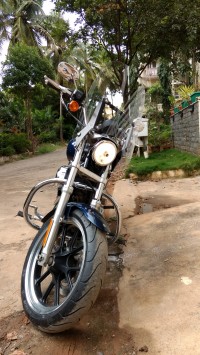 Pearl Blue Harley Davidson Superlow