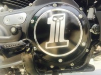 Mat Black Harley Davidson Iron 883