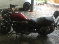 Red Harley Davidson XL 1200X Forty-Eight