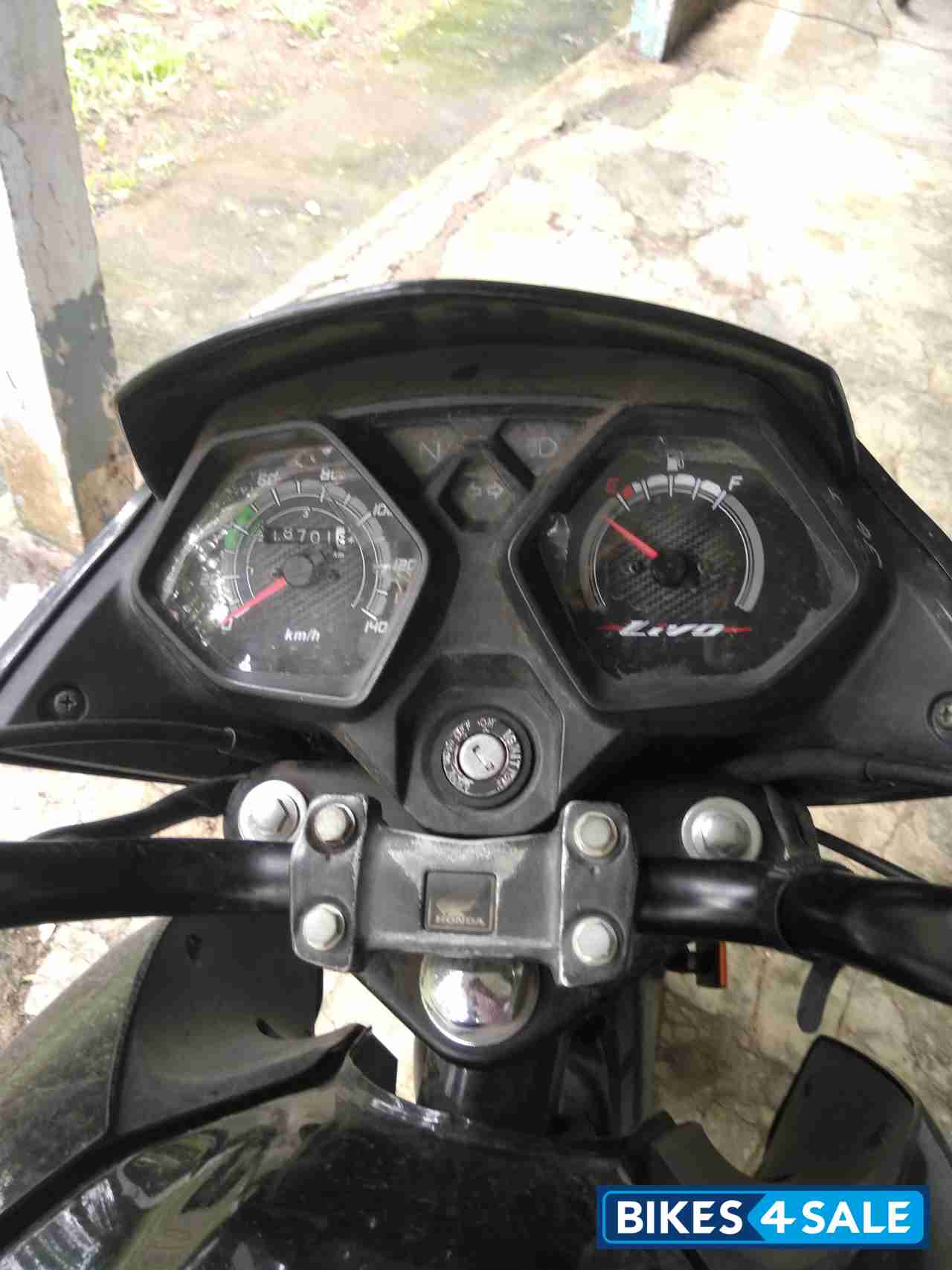 Black Honda Livo 110