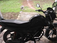 Black Honda Livo 110