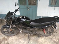Black Honda Livo 110
