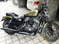 Olive Gold Harley Davidson Iron 883