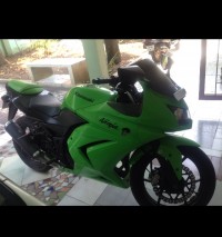 Kawasaki Ninja 250R 2010 Model