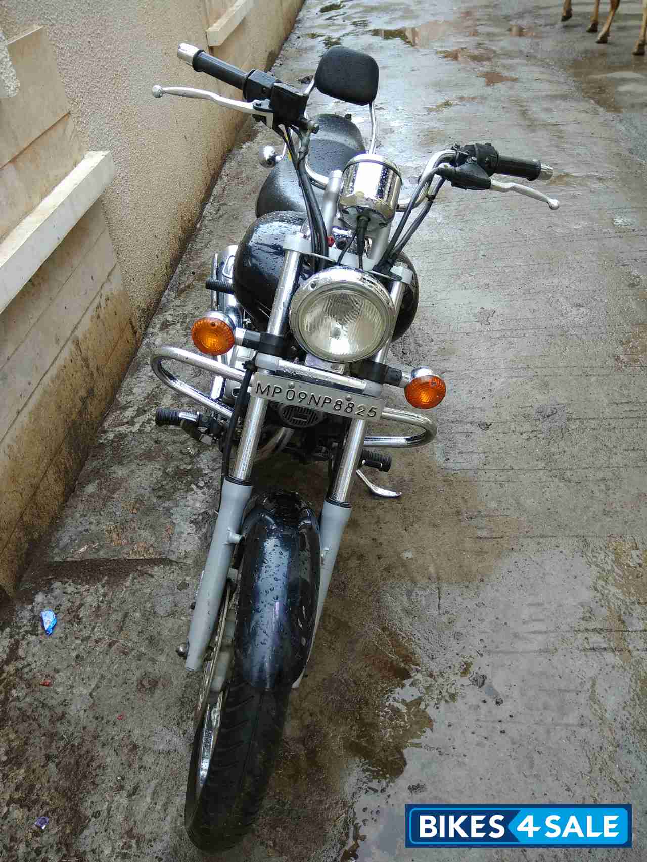 Midnight Black Bajaj Avenger 220 DTS-i