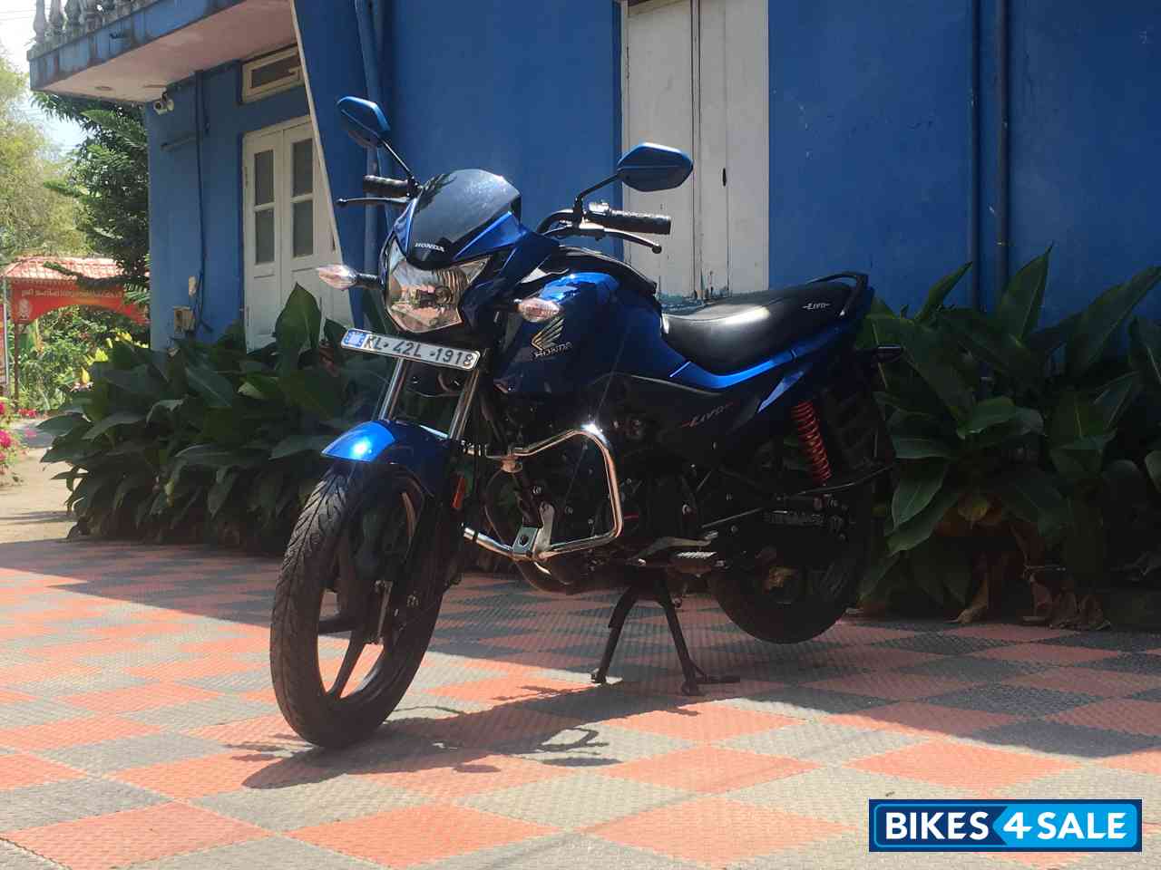 Blue Honda Livo 110