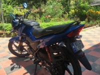 Blue Honda Livo 110