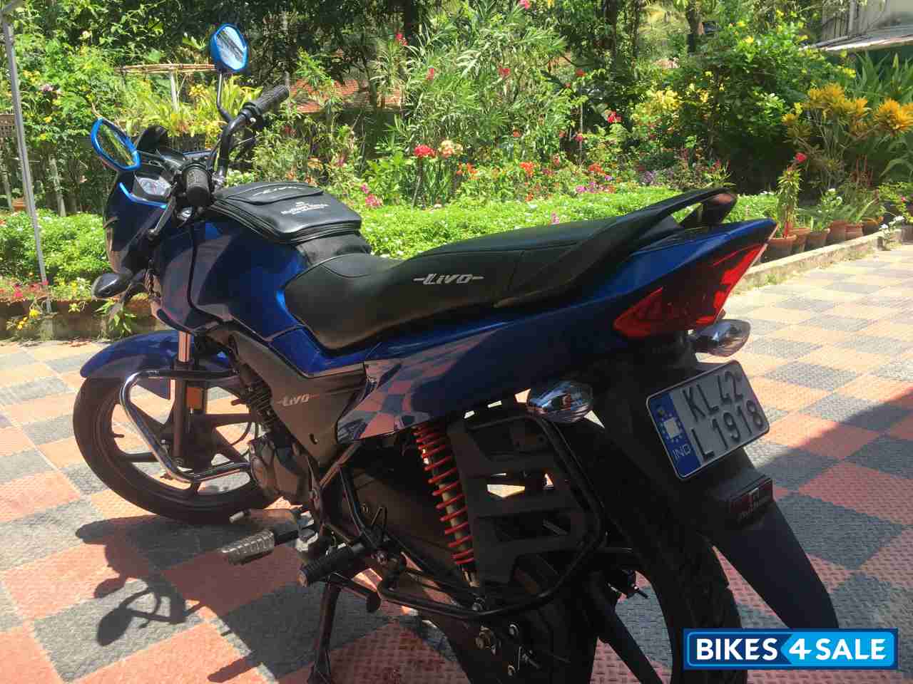 Blue Honda Livo 110