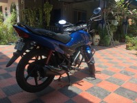 Blue Honda Livo 110
