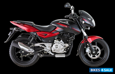 Cocktail Red Wine Bajaj Pulsar 180 DTSi