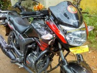 Panther Black Hero Hunk