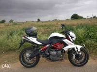 Benelli BN 600 I 2016 Model