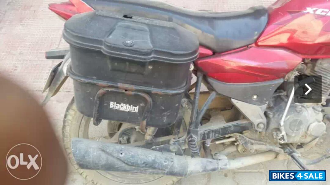 Red Bajaj XCD 125 DTS-Si