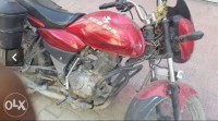 Red Bajaj XCD 125 DTS-Si