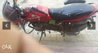 Red Bajaj XCD 125 DTS-Si