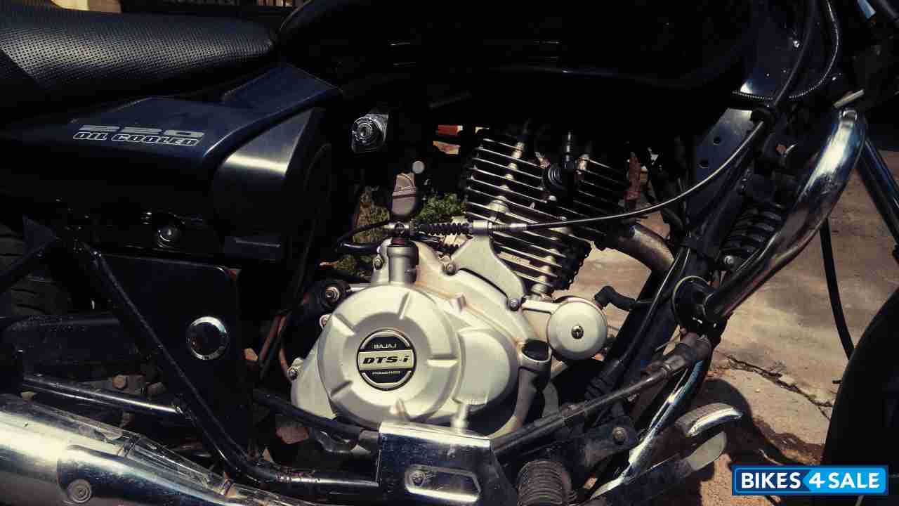 Black Bajaj Avenger 220 DTS-i