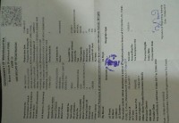 Forest Green Royal Enfield Bullet Standard 500