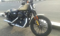 Olive Gold Harley Davidson Iron 883