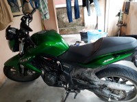 Green Benelli TNT 300