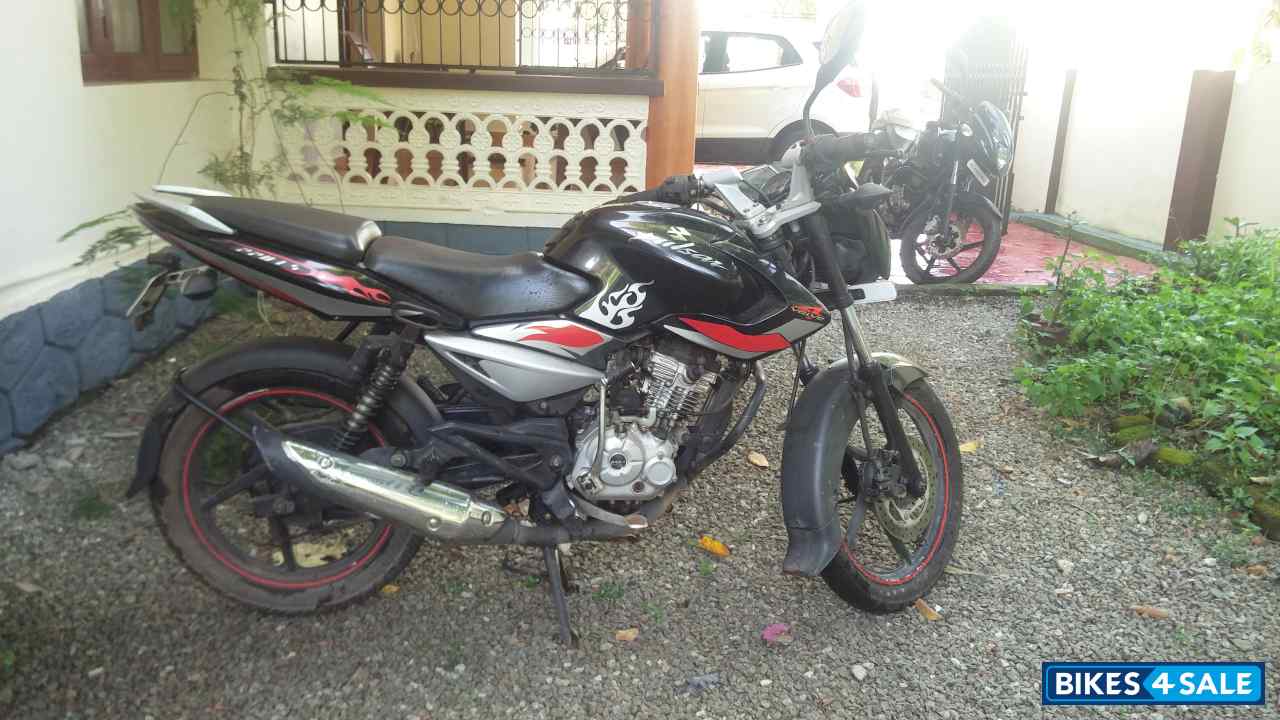 Mindnight Purple(black) Bajaj Pulsar 135LS