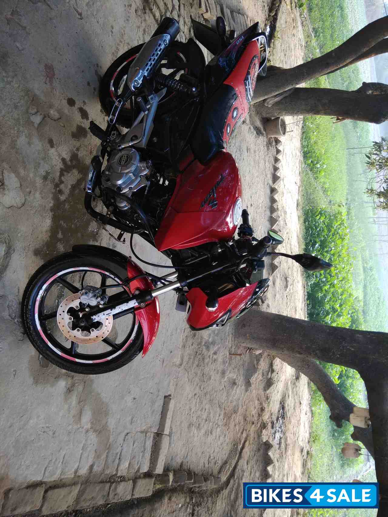 Red Black Bajaj Pulsar 150 DTSi