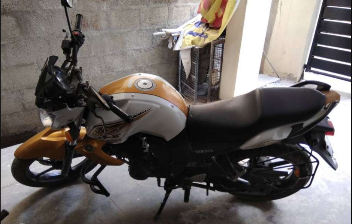 Gold White Yamaha FZ-S