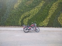 Red Royal Enfield Thunderbird TwinSpark 350