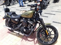 Olive Harley Davidson Iron 883