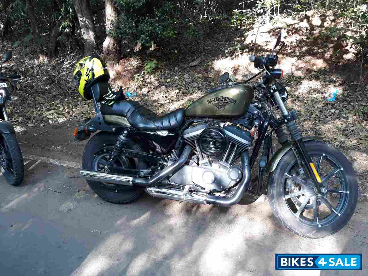 Olive Harley Davidson Iron 883