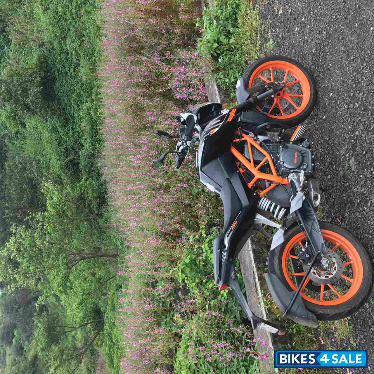 Ebony Black KTM Duke 390