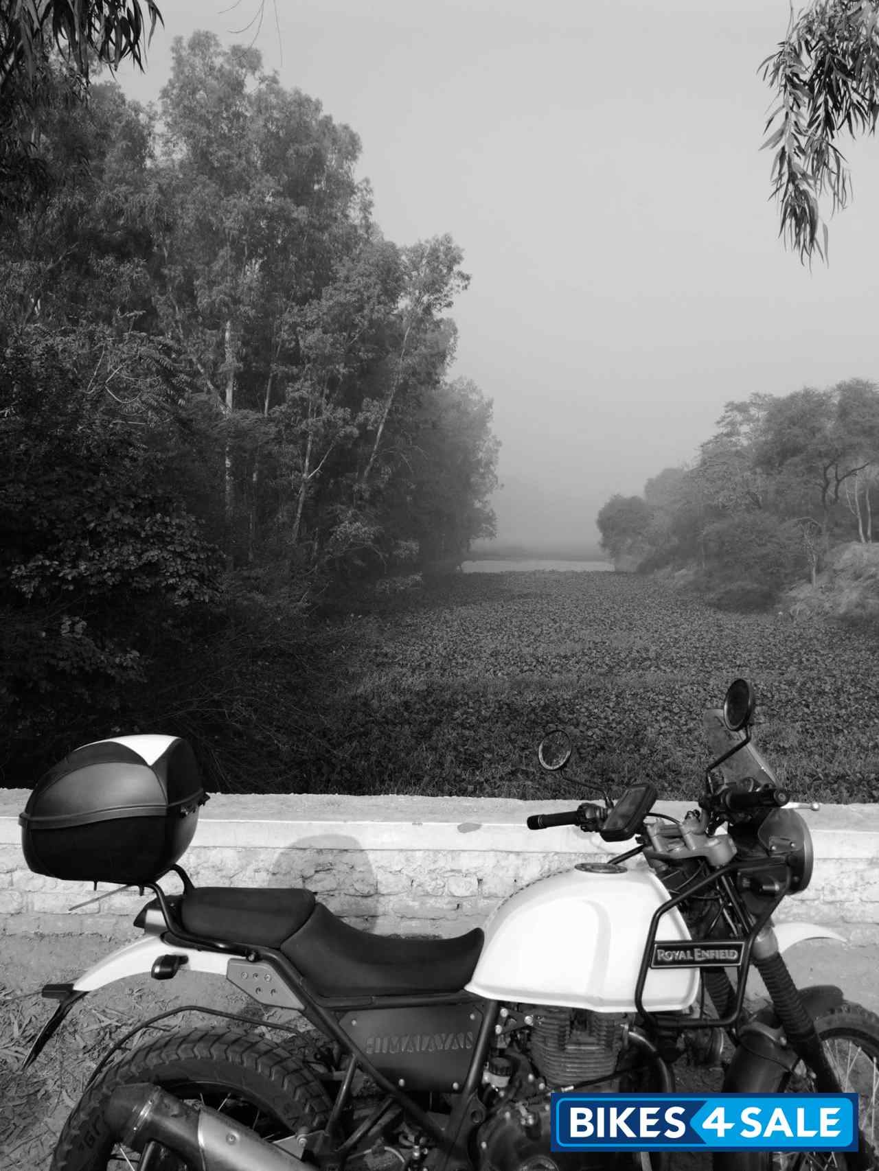 White Royal Enfield Himalayan