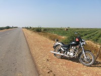 Royal Enfield Thunderbird TwinSpark 350  Model