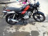Red Black Bajaj V12